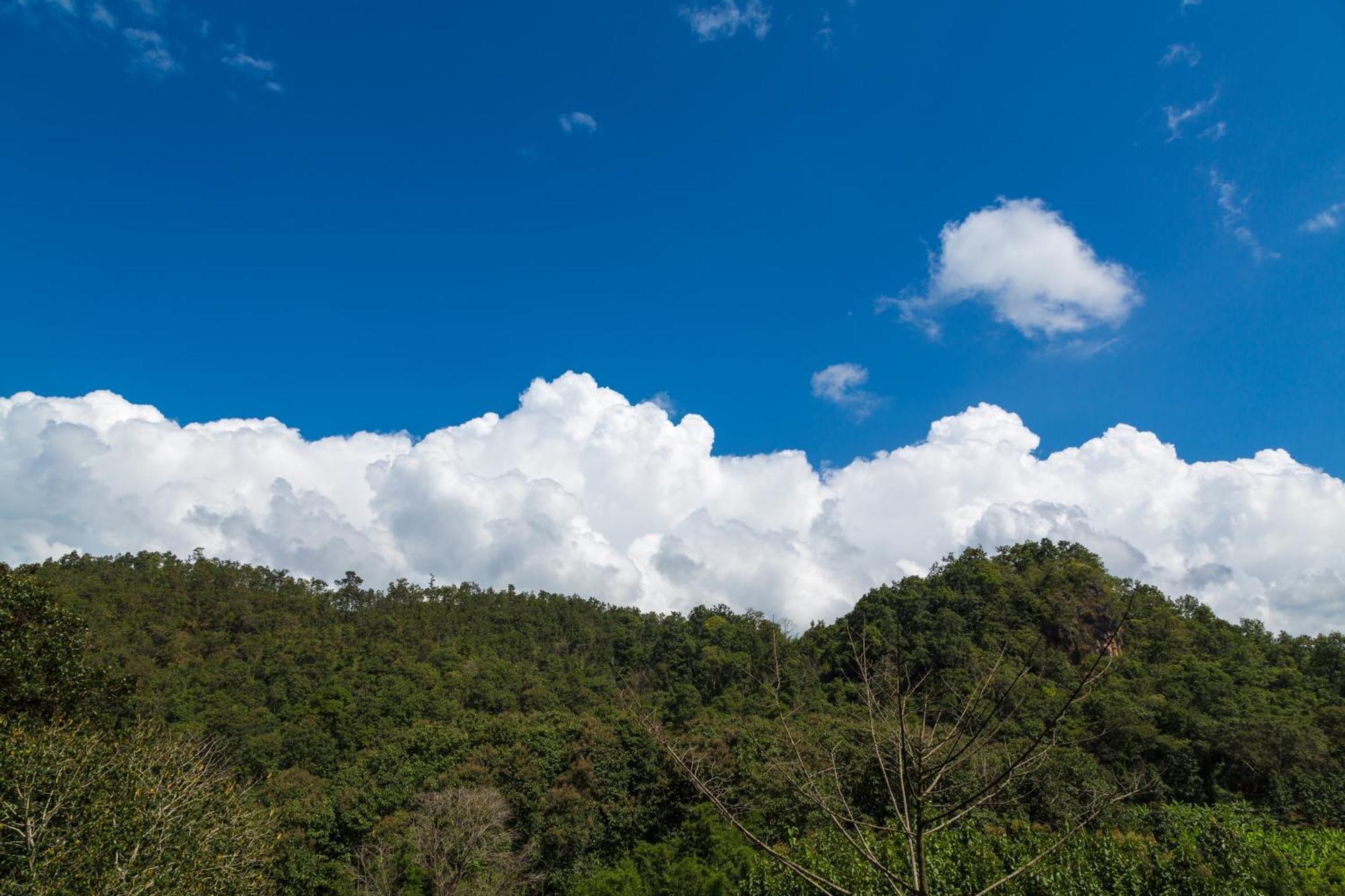 Готель Phu Pha View Doi Samoeng Екстер'єр фото