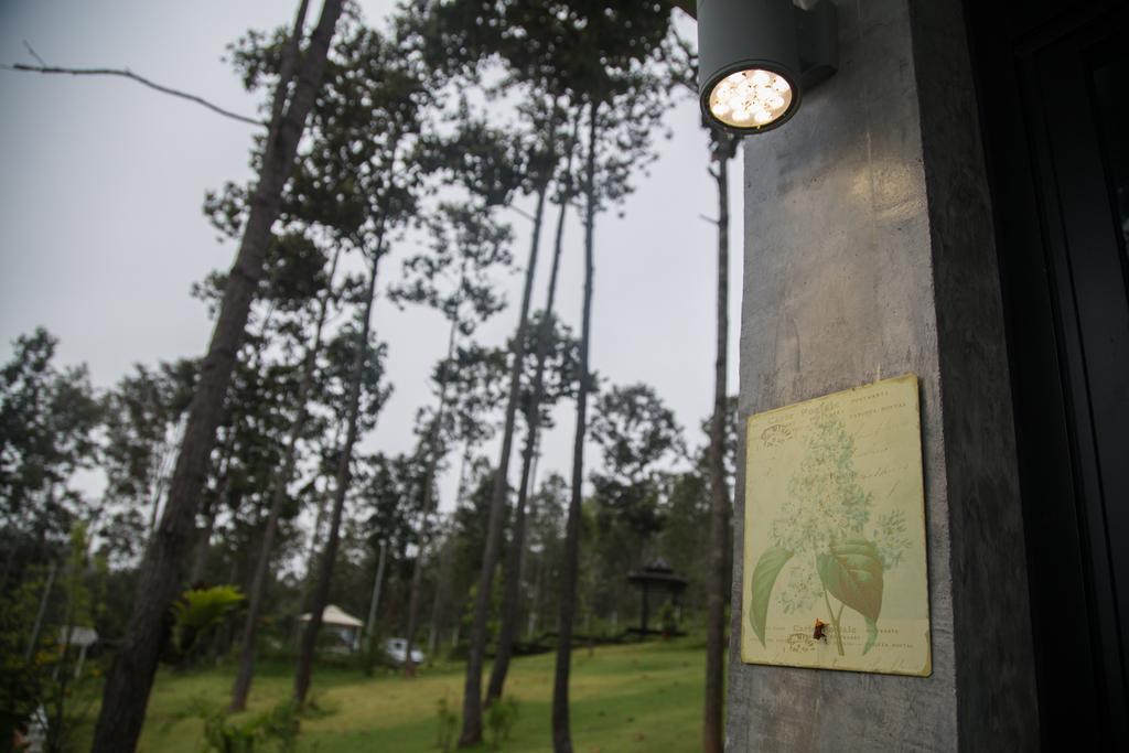 Готель Phu Pha View Doi Samoeng Екстер'єр фото